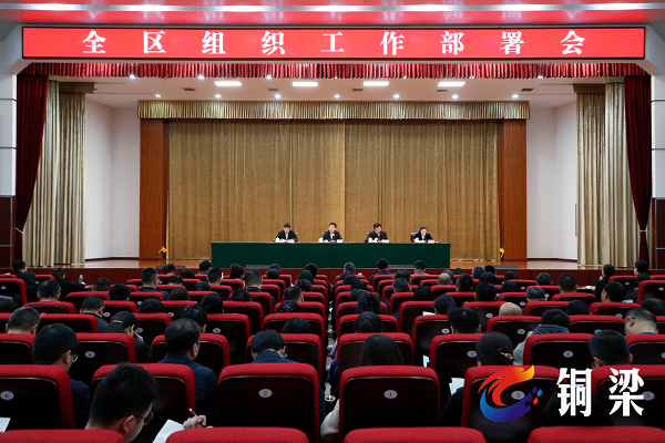 谭庆在全区组织工作部署会议上强调 强化党建统领 注重改革求变 加快推进组织工作系统重塑整体跃升