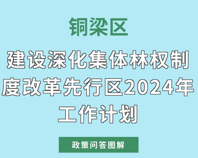 【政策问答图解】《铜梁区建设深化集体林权制度改革先行区2024年工作计划》