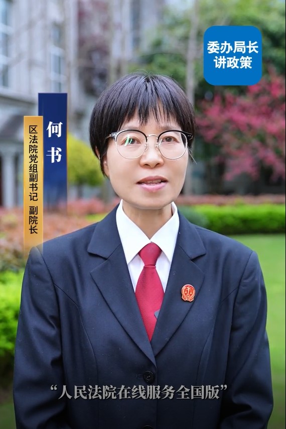 解读“人民法院在线服务全国版”平台操作指南——区法院讲政策
