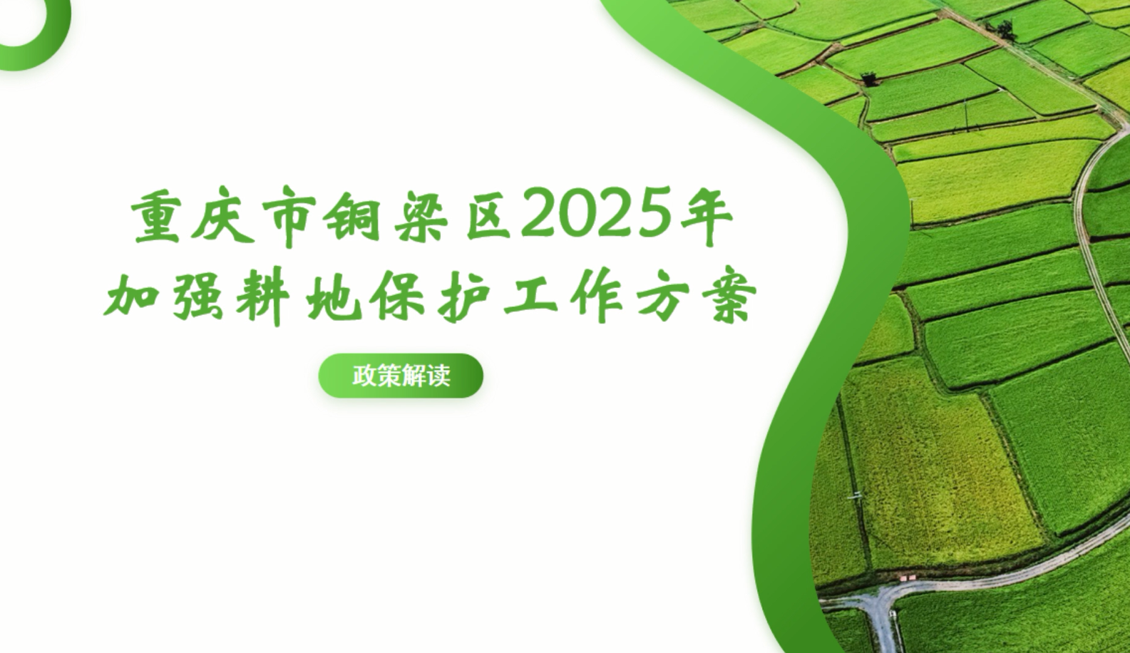 【视频解读】《重庆市铜梁区2025年加强耕地保护工作方案》