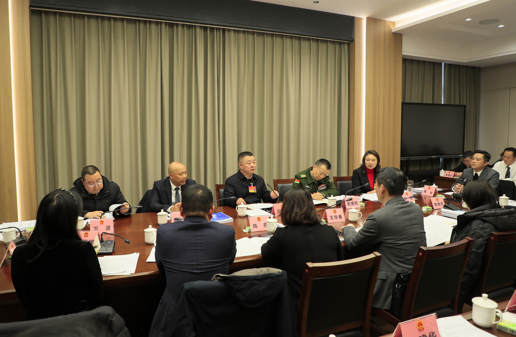 皮涛参加区十八届人大十次会议第一代表团审议