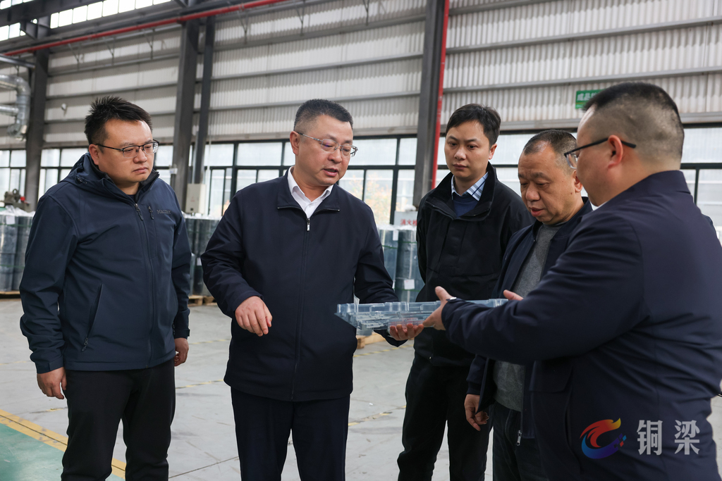 皮涛督导检查企业安全生产工作