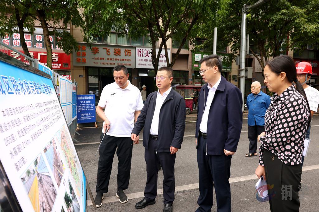 皮涛调研全区城市更新工作
