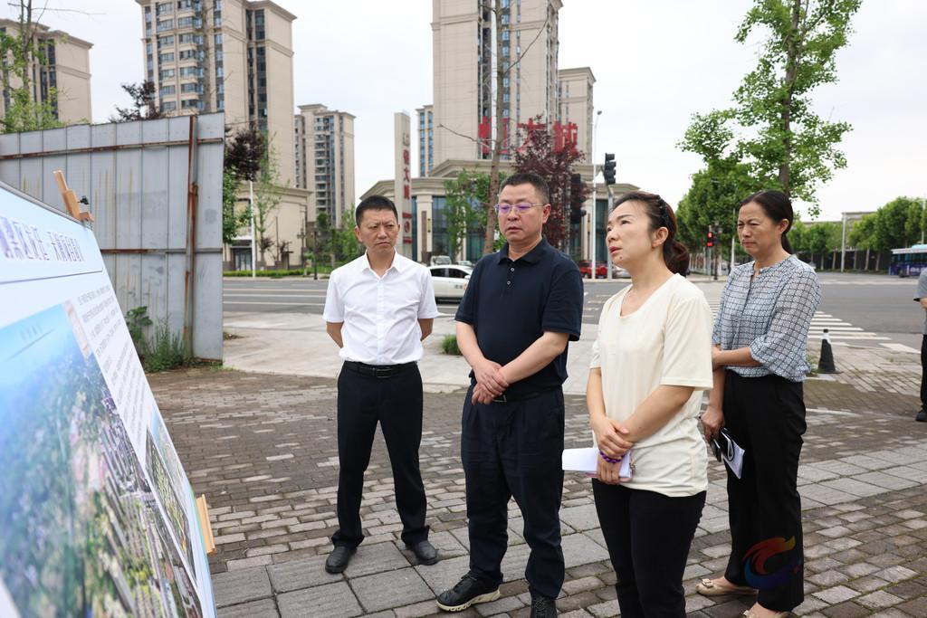 皮涛调研全区重点项目建设工作