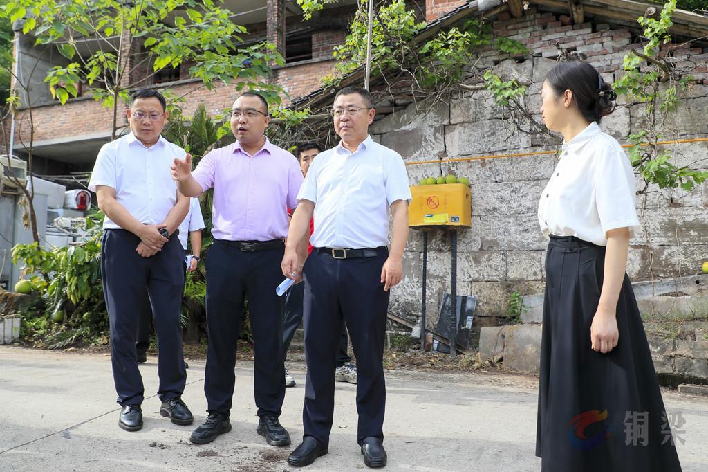 皮涛调研督导群防群治百日攻坚行动工作