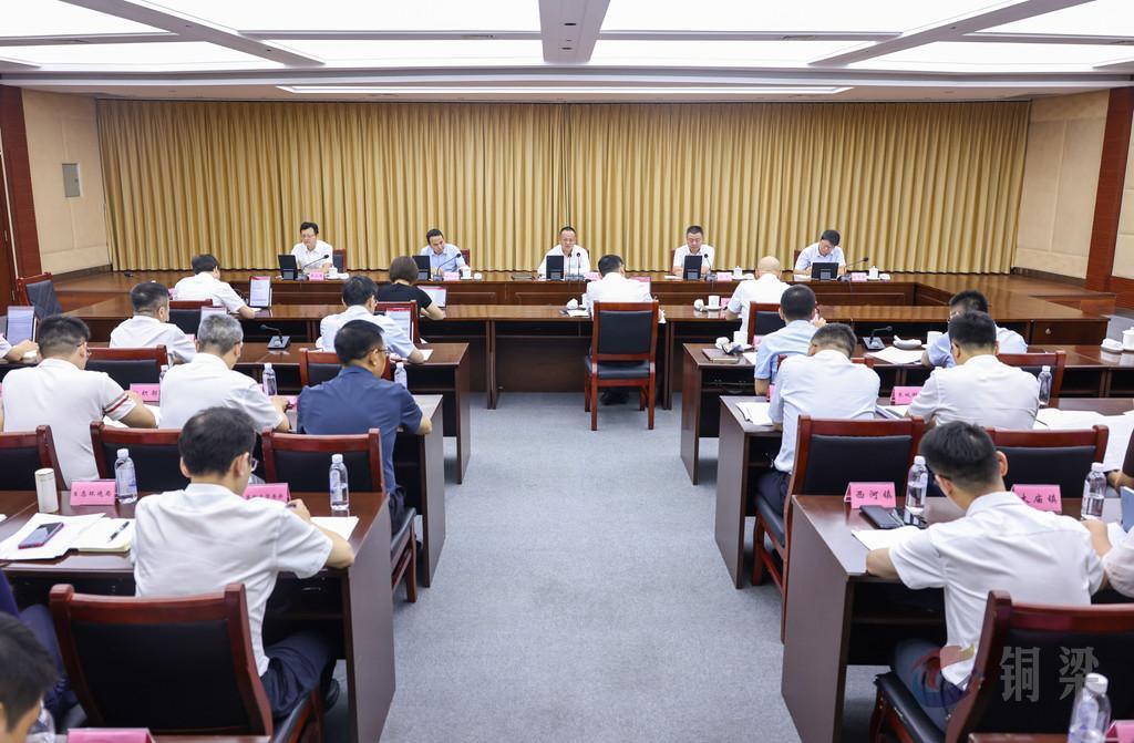 重庆铜梁：深入学习贯彻习近平总书记重要讲话重要指示精神 研究部署群防群治百日攻坚、生态环境保护等工作
